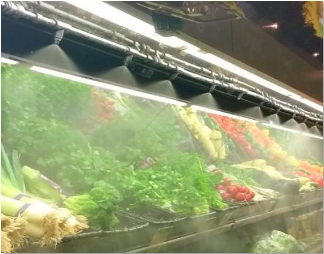 Food Grade Anolyte HOCl Generator Chlory - Hypochlorous Acid Water Machine for Food Disinfection
