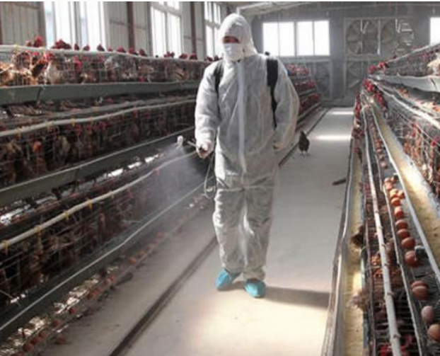 Food Processing Disinfection with Chlory HOCl Generator