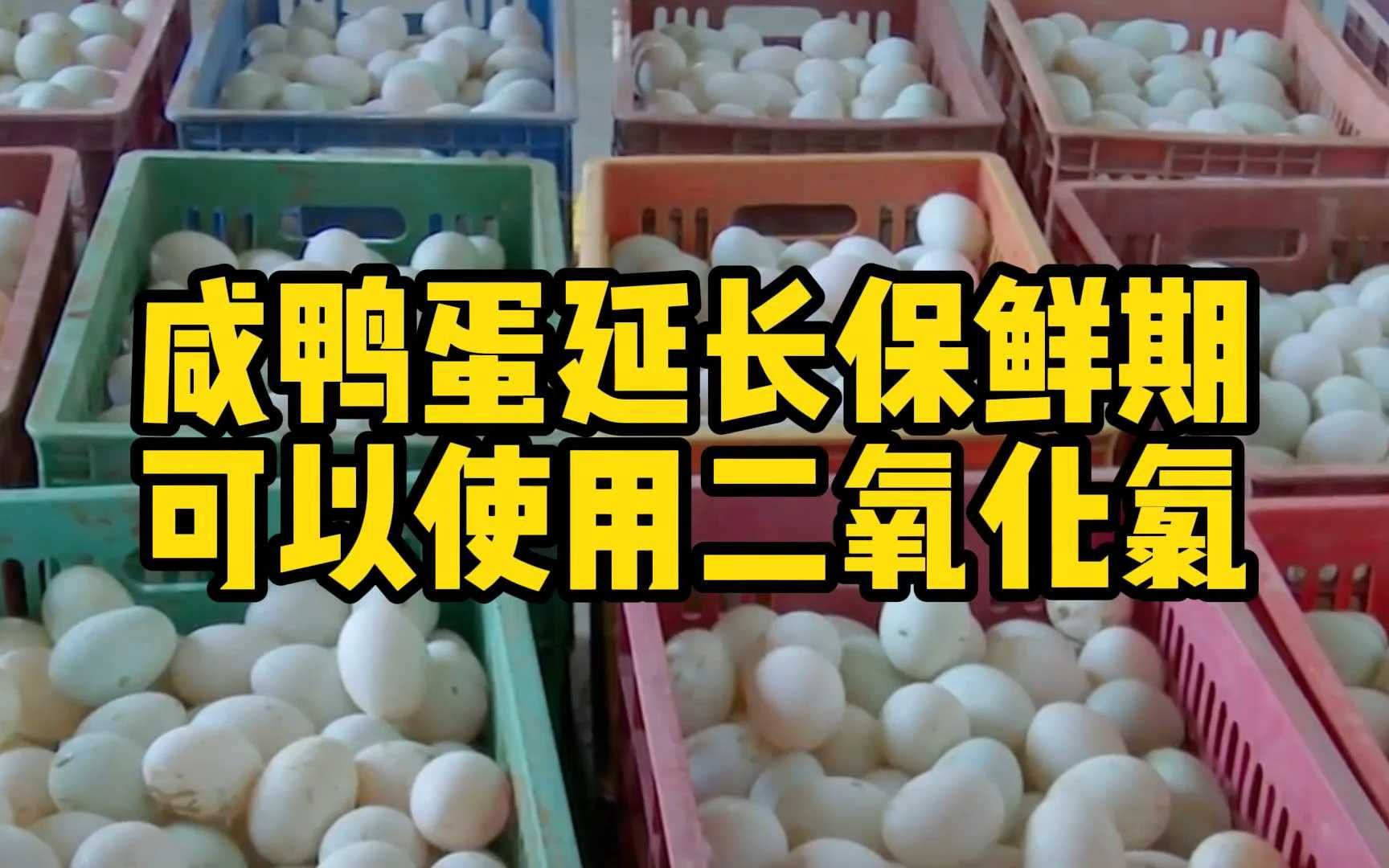 Application of chlorine dioxide in the preservation of duck eggs