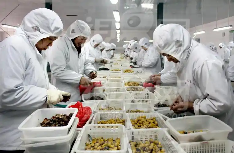 Application of chlorine dioxide in the preservation of duck eggs