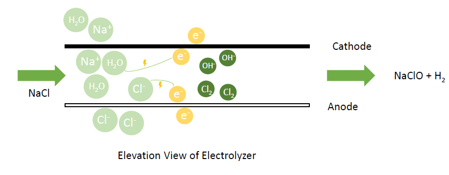 Core analysis of seawater electrochlorination technology