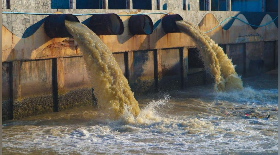 Sewage treatment plants (STPs) 