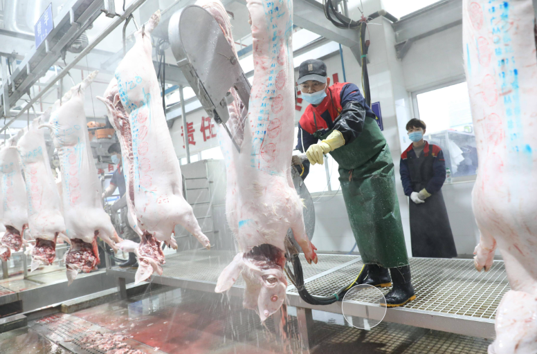 Application of sodium hypochlorite in slaughterhouses: a key line of defense to ensure safety and hygiene