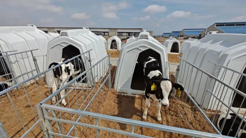 Application of sodium hypochlorite in pastures