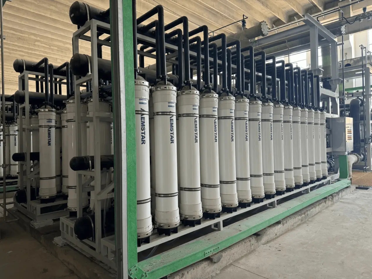 Application of Seawater Electrochlorination in Treating Marine Pollution Problems