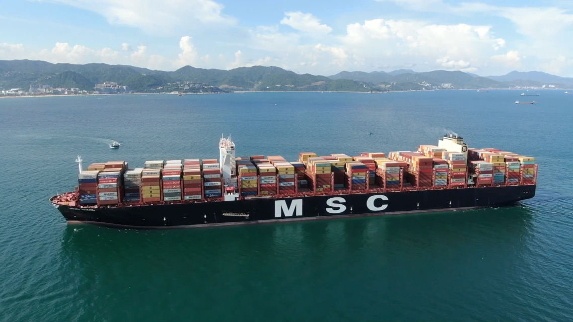 Application of Seawater Electrochlorination System on Ocean-going Cargo Ships