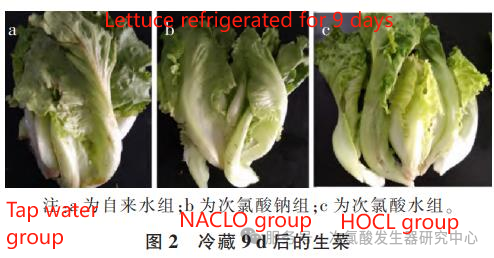 image/2025/0619/1810503834.png