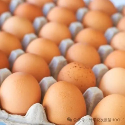 image/2025/0703/1542004867.png