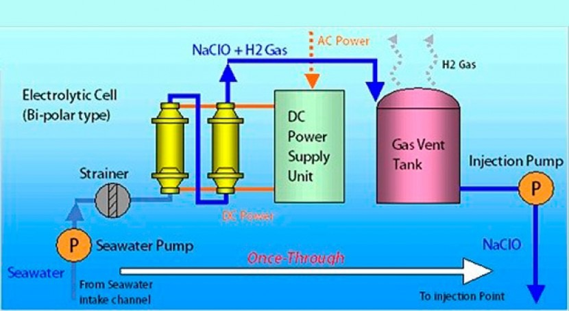 Basic Principles of Seawater Electrochlorination Technology