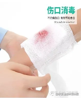 image/2025/08/211703185697.webp