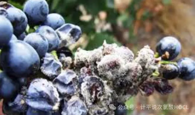 image/2026/01/271638327141.webp image/2026/01/271638327141.webp