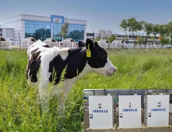 Application of sodium hypochlorite generator in pasture: innovative practice of green disinfection technology