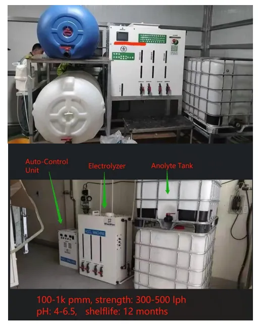 Hypochlorous Acid: Safe and Efficient for Meat Cold Chains