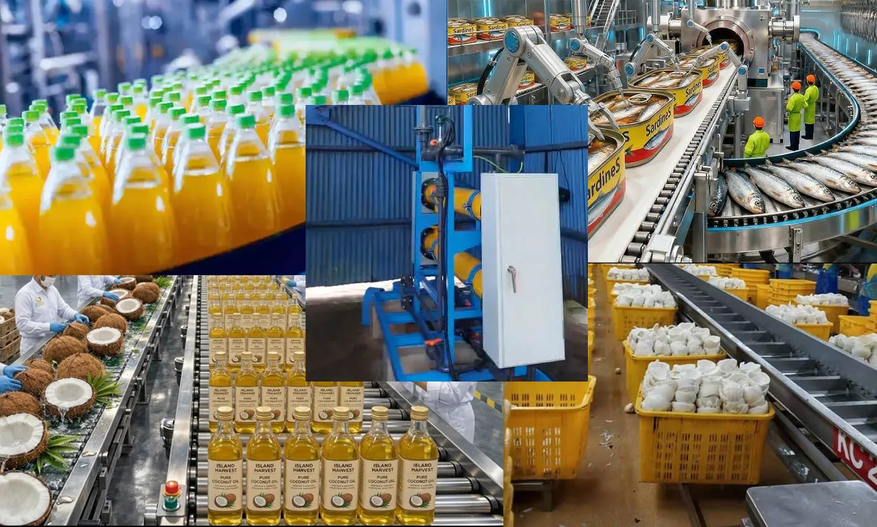 Seawater Electrolysis Application in Coastal Food and Beverage Factories