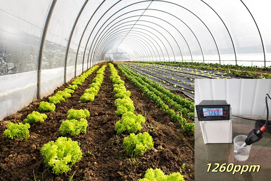 Hypochlorous Acid: Green Solution for Organic Farming