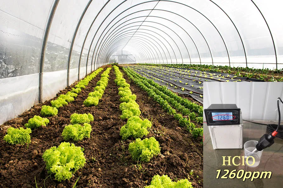 Hypochlorous Acid: Green Solution for Organic Farming