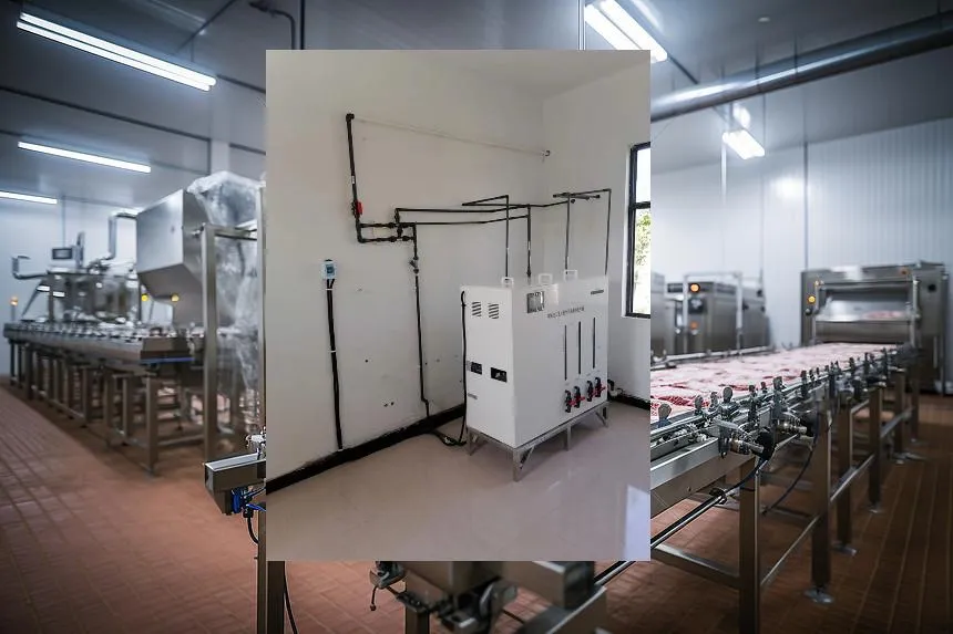 Hypochlorous Acid for Meat Processing Plants