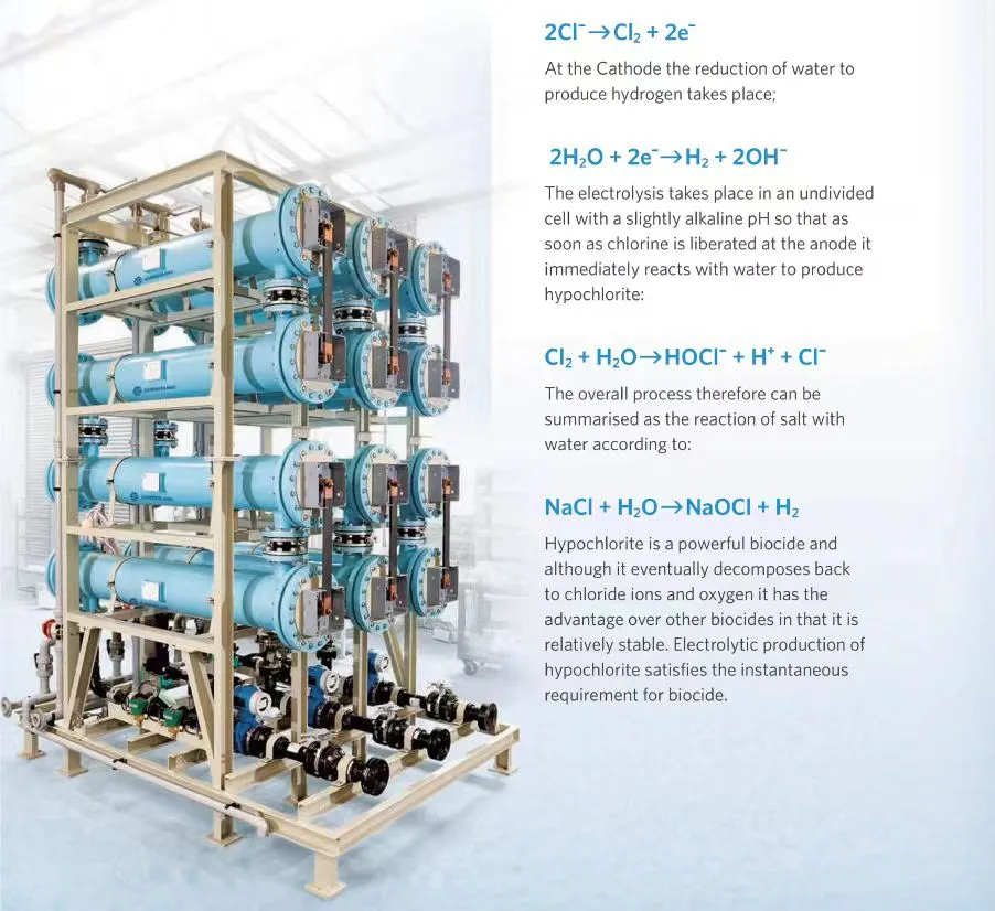 Working Principle of Electrolytic Seawater Chlorination: Green Anti-Corrosion at the Molecular Level