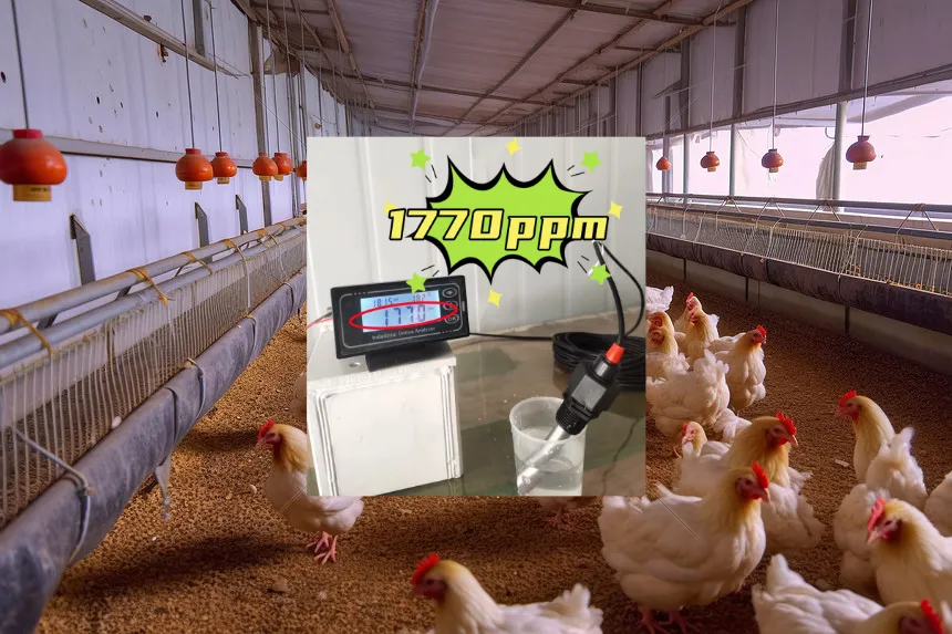 Hypochlorous Acid for Livestock Farm Deodorization