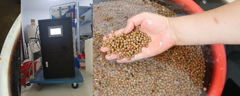 Hypochlorous Acid Generator for Seed Soaking Treatment