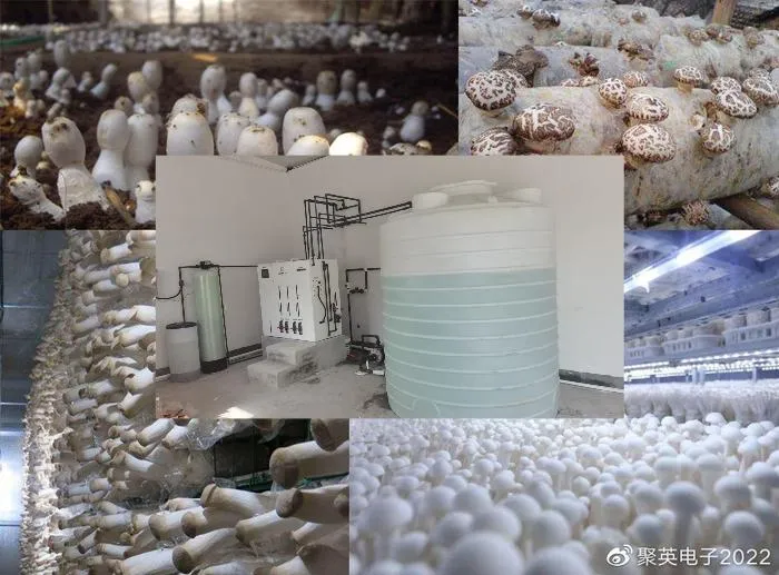 Electrolytic Potassium Chloride Hypochlorite Generator for Mushroom Cultivation
