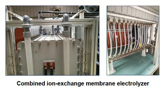 Sodium Hypochlorite Generator For Village Wells