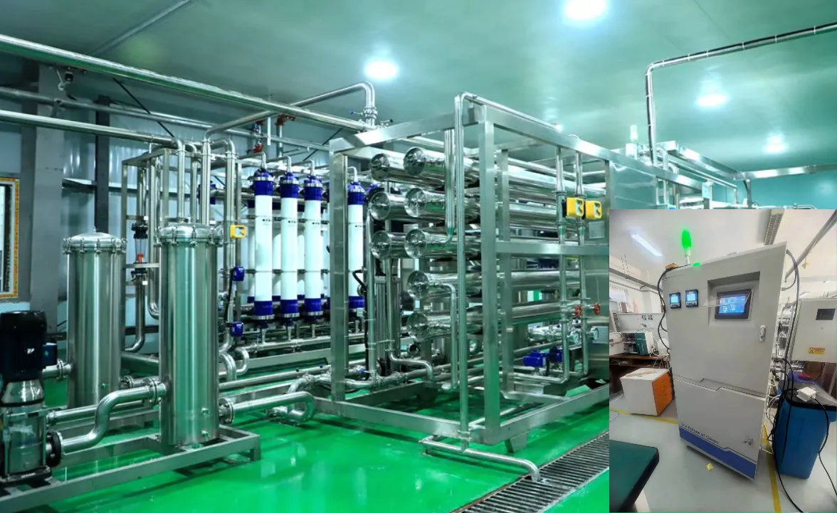 Reverse Osmosis Post-Disinfection: HOCl Generator for Pure Water Production Lines