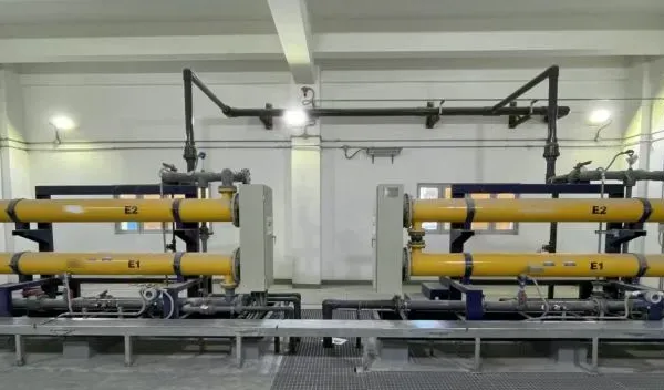 Electrolytic seawater chlorination system