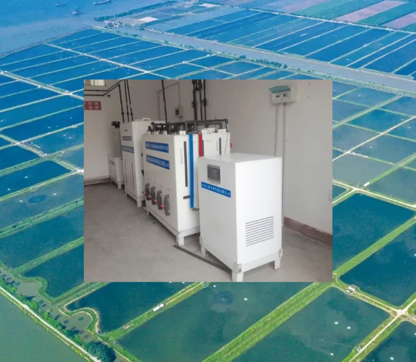 Hypochlorous Acid Generator Solution for Aquaculture Pond Water Disinfection